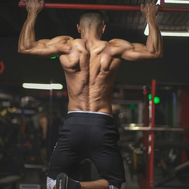 マッチョに特化